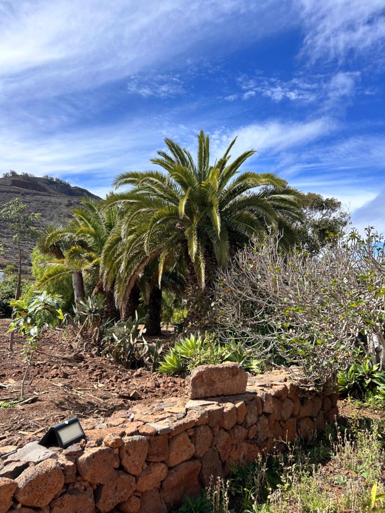 Haciendas Del Valle-Montemayor Las Toscas Ngoại thất bức ảnh